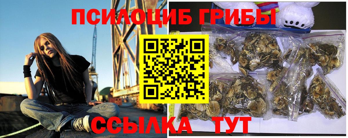 Псилоцибиновые грибы мухоморы Аргун