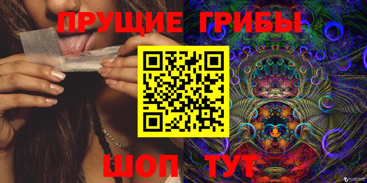 Аргун  Псилоцибиновые грибы Cubensis  Вход с VPN  Псилоцибиновые грибы Cubensis 